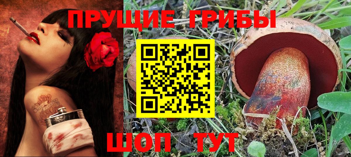 Галлюциногенные грибы Cubensis Будённовск