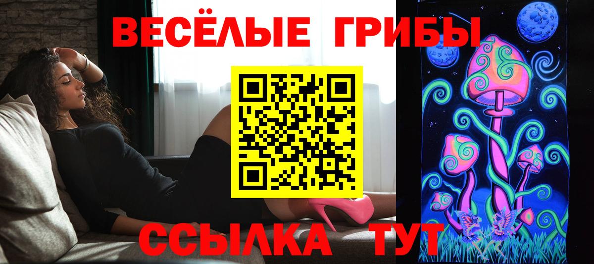 Псилоцибиновые грибы мицелий  Вход с VPN  Будённовск 